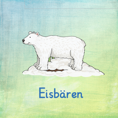 Eisbären